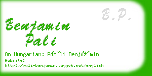 benjamin pali business card